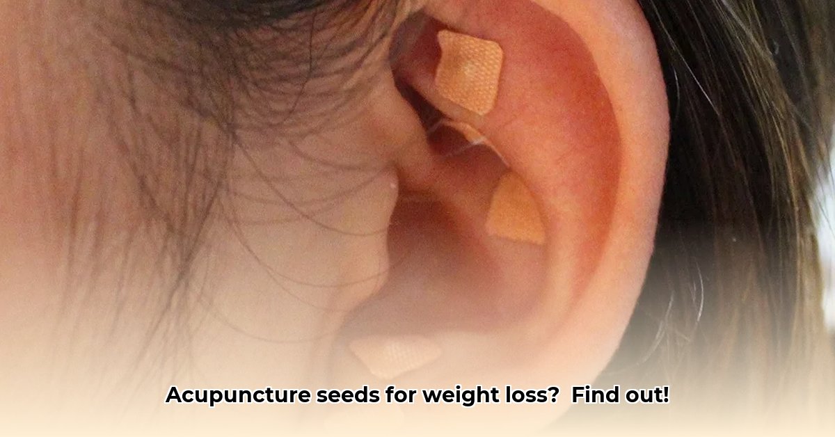 acupuncture-seeds-for-weight-loss
